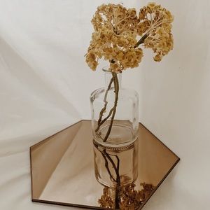 Faux Dried Plant with Mirror Tray